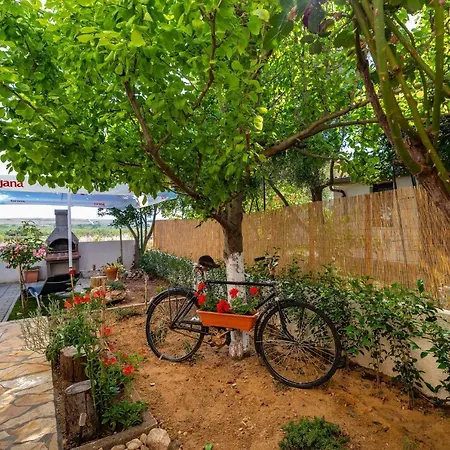 Apartment Apartments With A Parking Space Povljana, Pag - 232